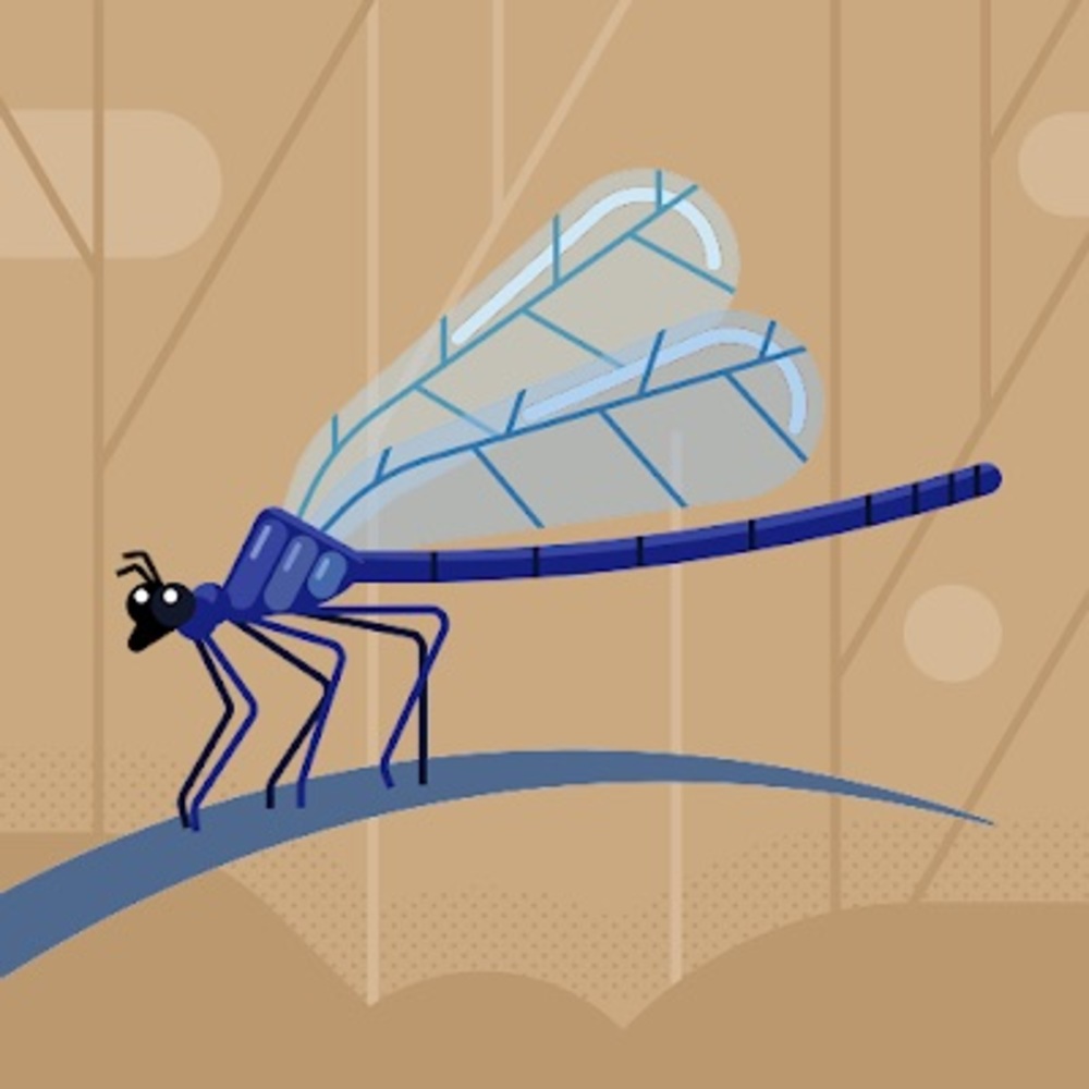 Meet your Posher, Adrian